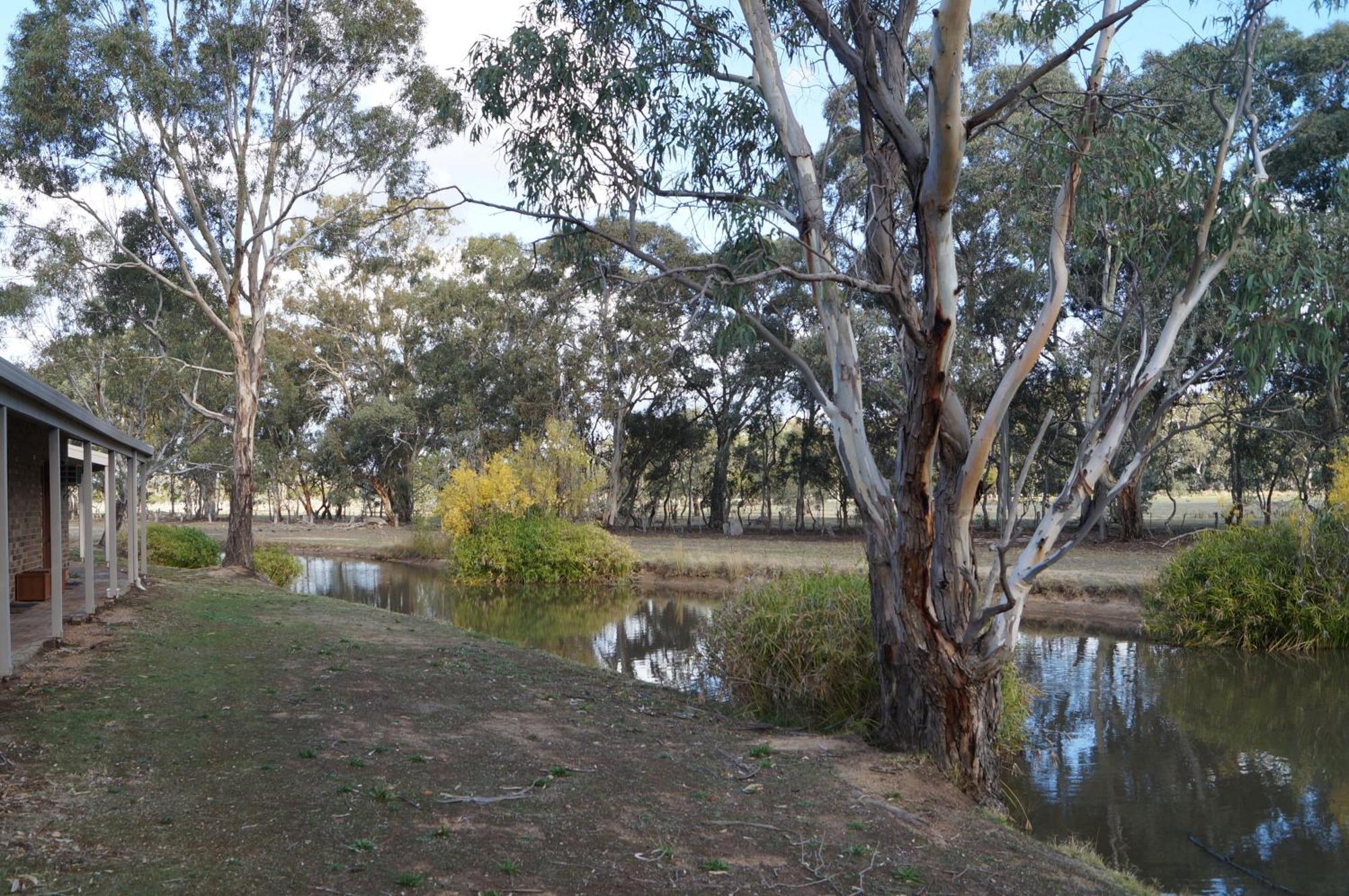 Magdala Motor Lodge & Lakeside Restaurant Stawell Quarto foto