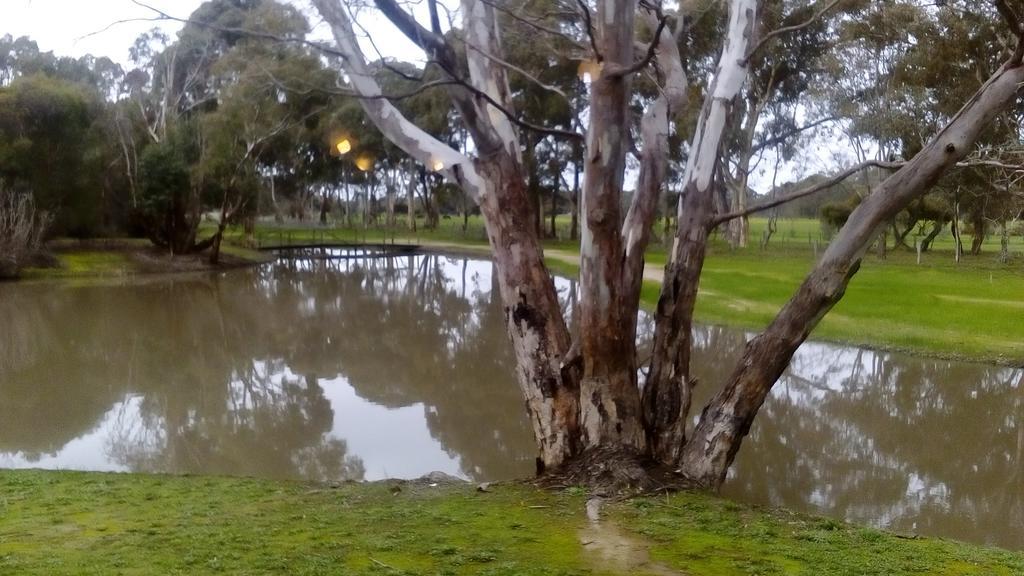 Magdala Motor Lodge & Lakeside Restaurant Stawell Exterior foto